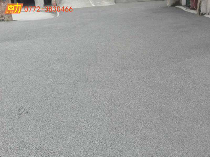 鳳凰河透水地坪